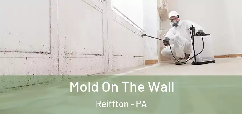  Mold On The Wall Reiffton - PA