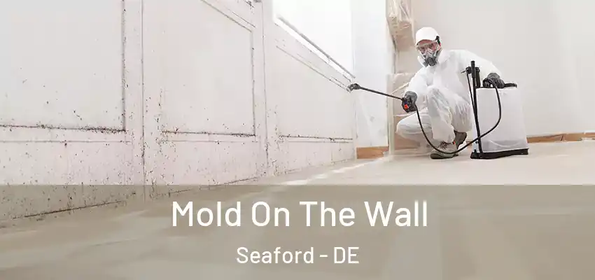  Mold On The Wall Seaford - DE