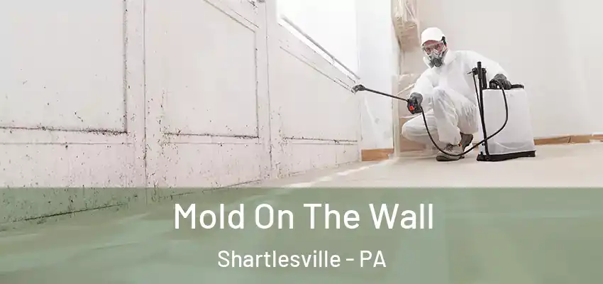 Mold On The Wall Shartlesville - PA