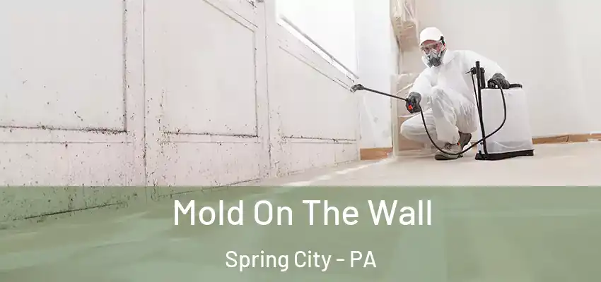 Mold On The Wall Spring City - PA