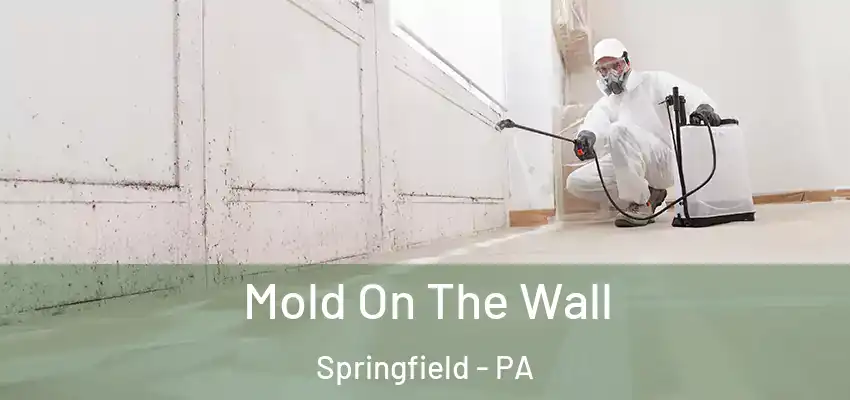  Mold On The Wall Springfield - PA