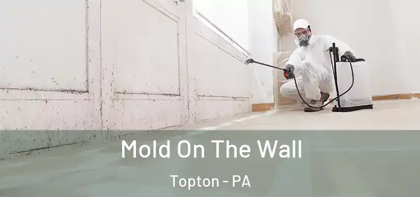 Mold On The Wall Topton - PA