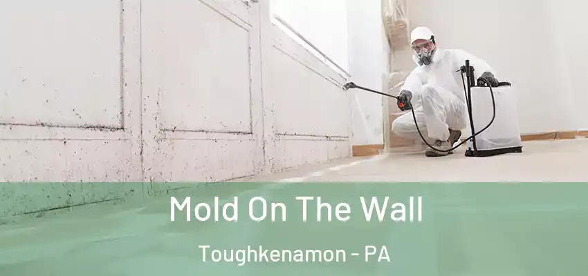  Mold On The Wall Toughkenamon - PA