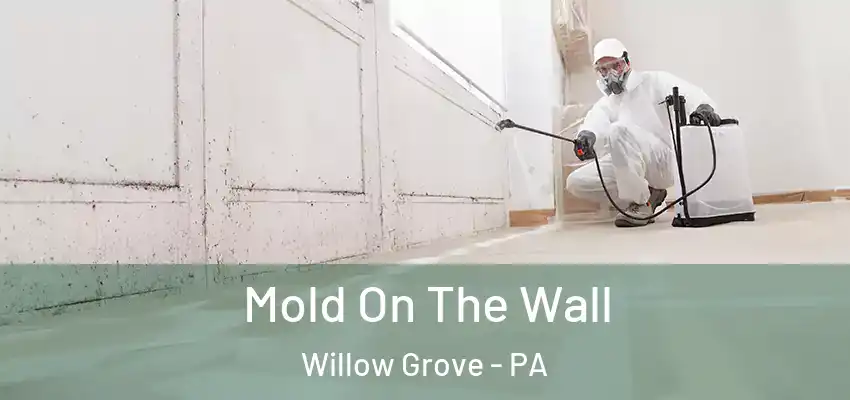  Mold On The Wall Willow Grove - PA