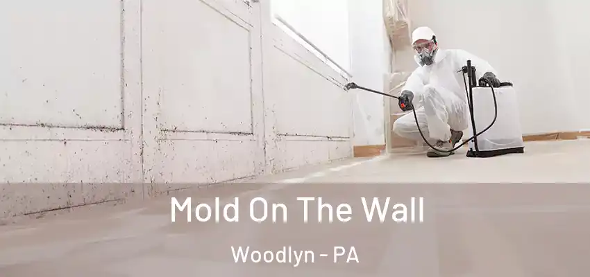  Mold On The Wall Woodlyn - PA