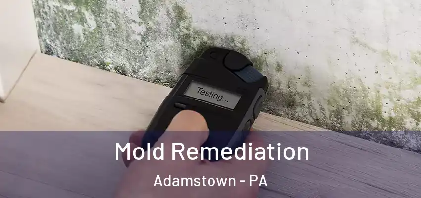  Mold Remediation Adamstown - PA