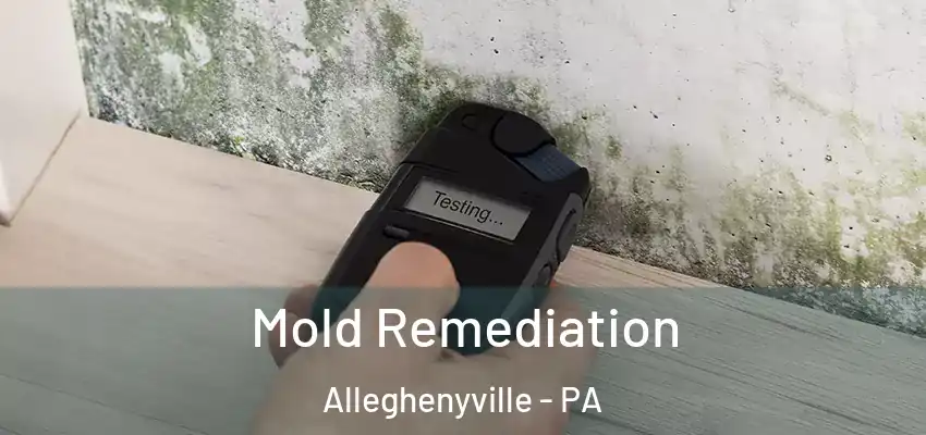 Mold Remediation Alleghenyville - PA