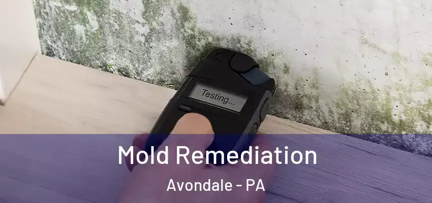  Mold Remediation Avondale - PA