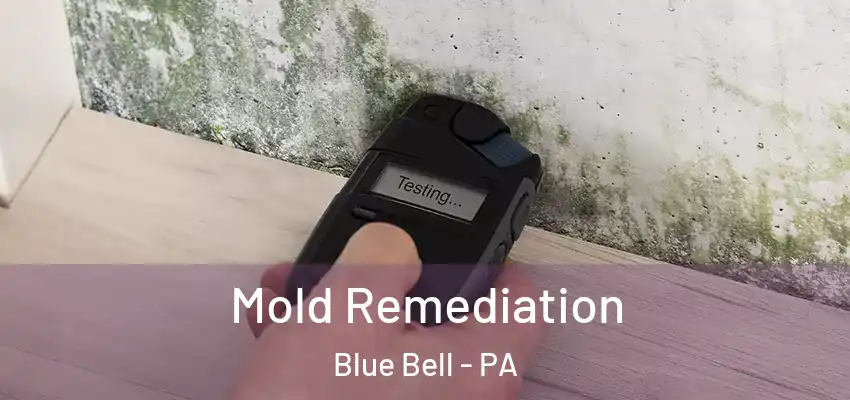 Mold Remediation Blue Bell - PA