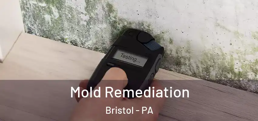  Mold Remediation Bristol - PA