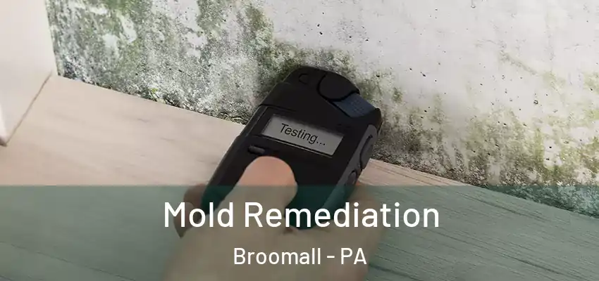  Mold Remediation Broomall - PA