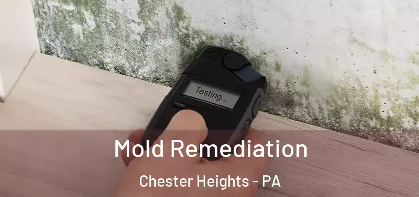 Mold Remediation Chester Heights - PA