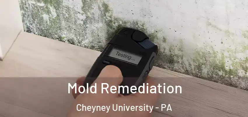 Mold Remediation Cheyney University - PA