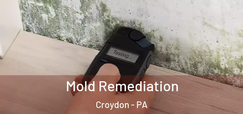 Mold Remediation Croydon - PA