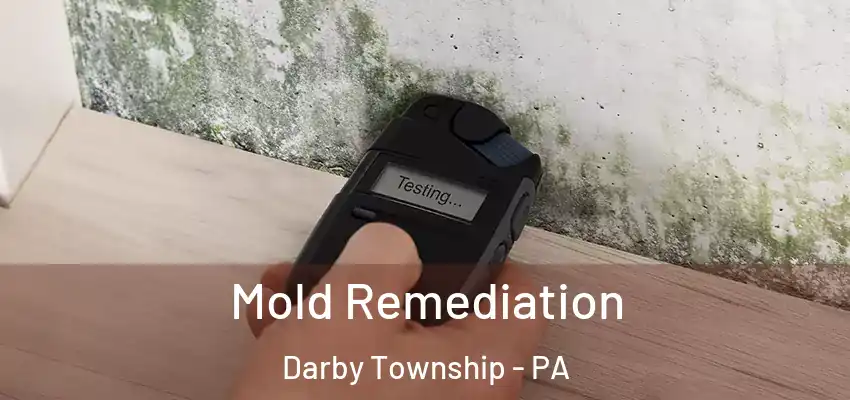 Mold Remediation Darby Township - PA
