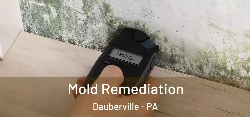  Mold Remediation Dauberville - PA