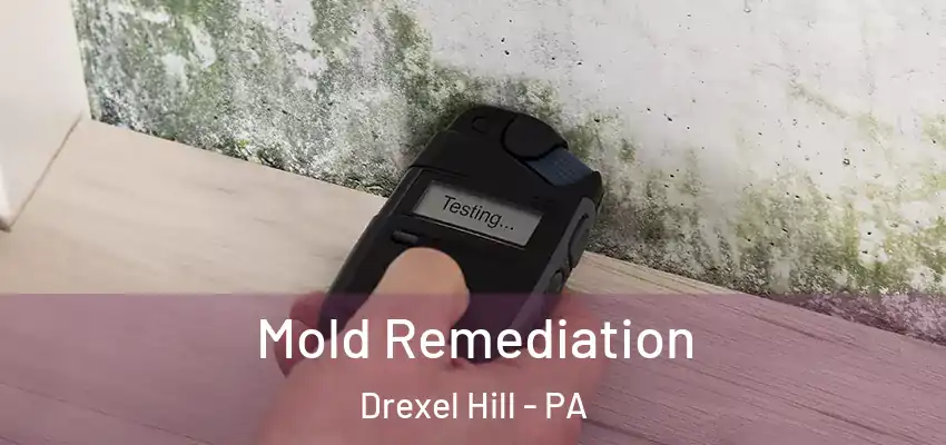 Mold Remediation Drexel Hill - PA
