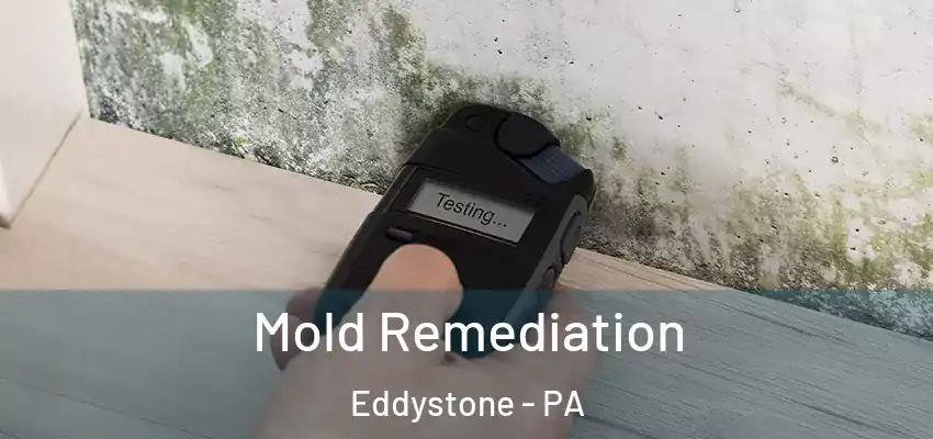 Mold Remediation Eddystone - PA