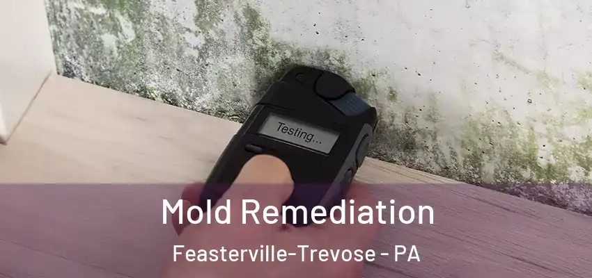 Mold Remediation Feasterville-Trevose - PA