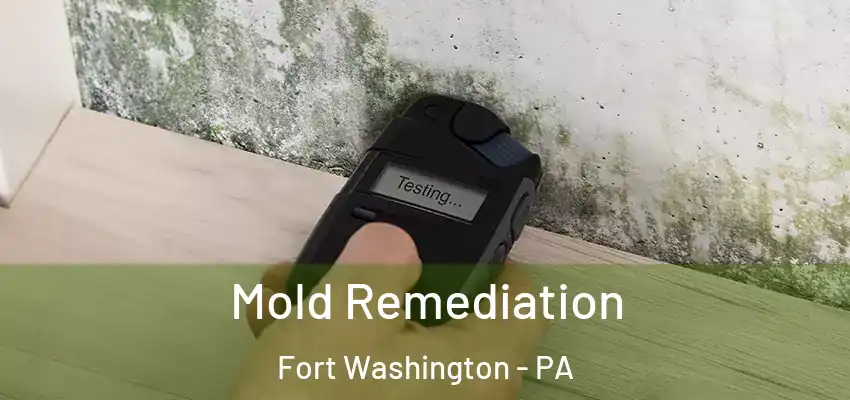 Mold Remediation Fort Washington - PA