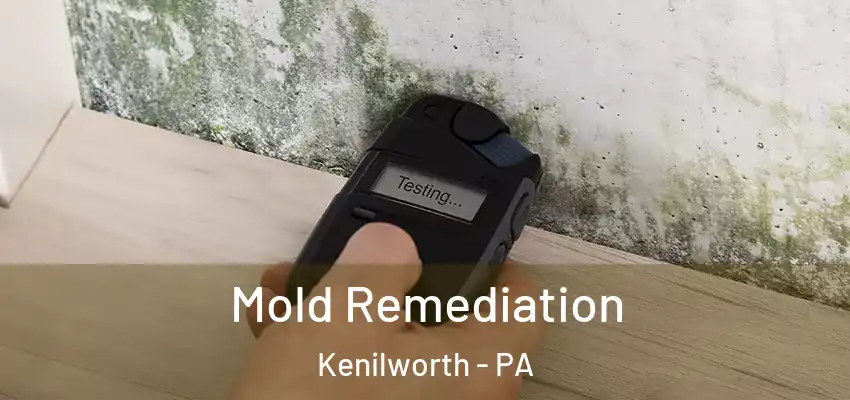  Mold Remediation Kenilworth - PA
