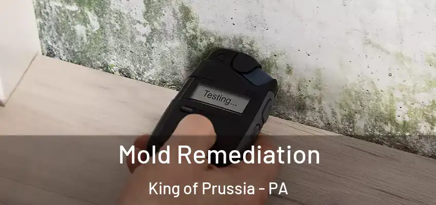 Mold Remediation King of Prussia - PA