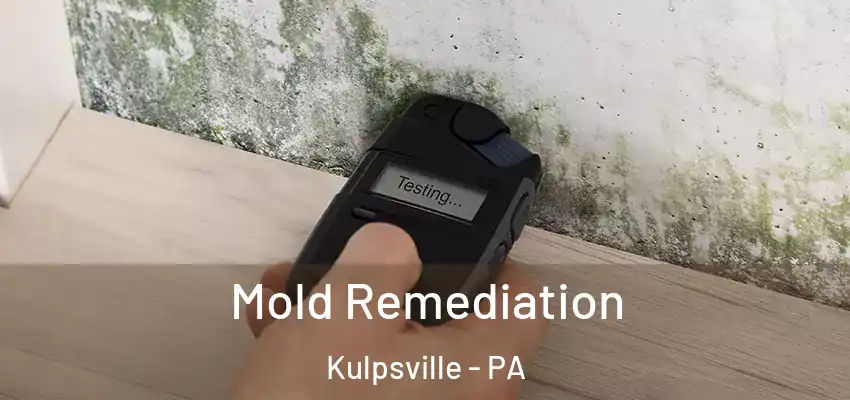  Mold Remediation Kulpsville - PA