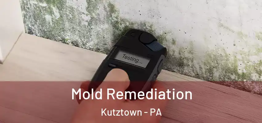 Mold Remediation Kutztown - PA