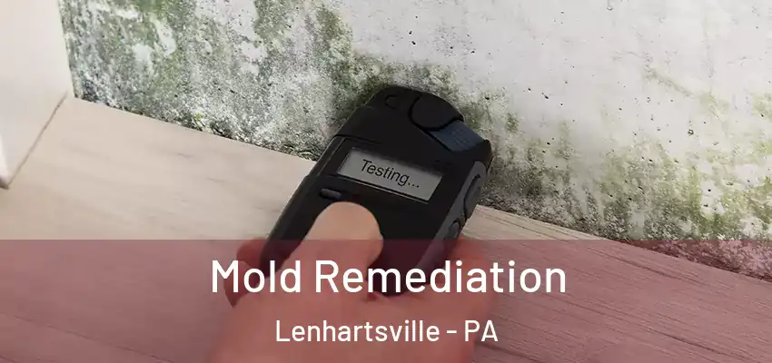 Mold Remediation Lenhartsville - PA