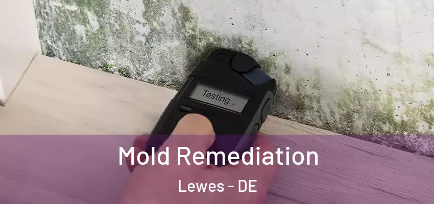 Mold Remediation Lewes - DE