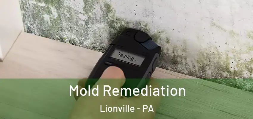 Mold Remediation Lionville - PA