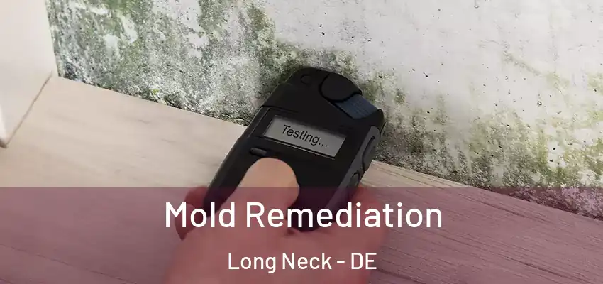  Mold Remediation Long Neck - DE