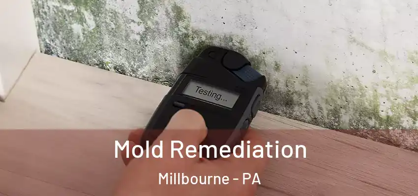  Mold Remediation Millbourne - PA