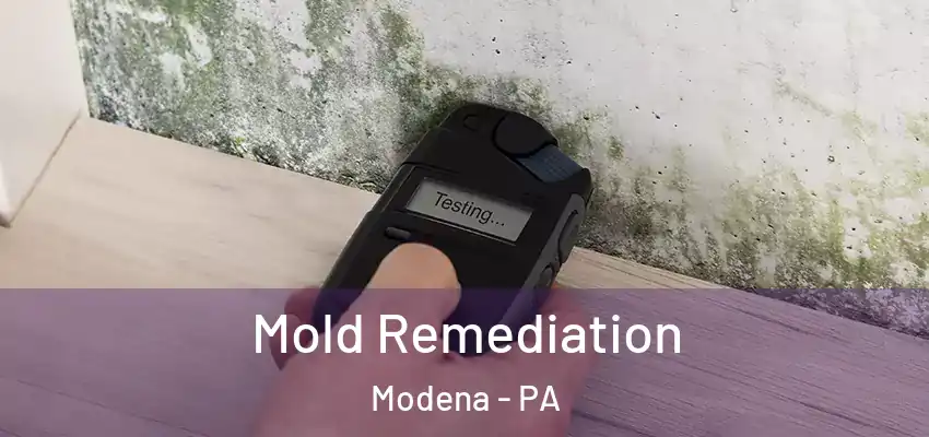  Mold Remediation Modena - PA