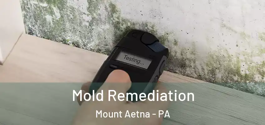 Mold Remediation Mount Aetna - PA