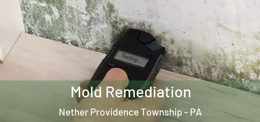 Mold Remediation Nether Providence Township - PA