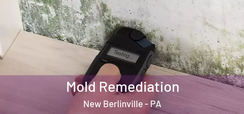 Mold Remediation New Berlinville - PA