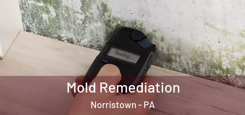  Mold Remediation Norristown - PA