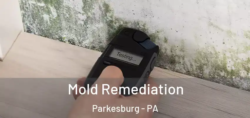  Mold Remediation Parkesburg - PA