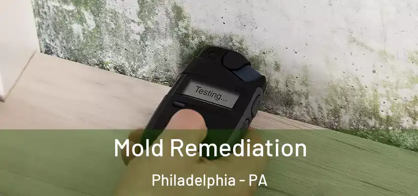  Mold Remediation Philadelphia - PA