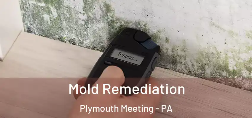 Mold Remediation Plymouth Meeting - PA
