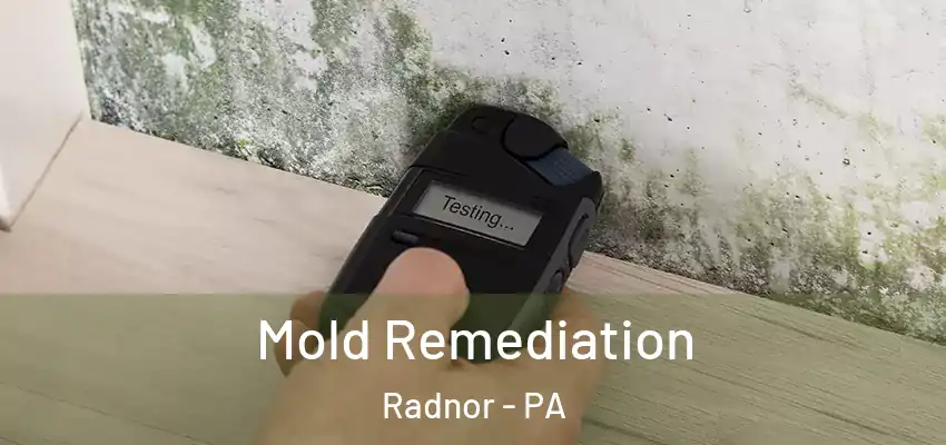 Mold Remediation Radnor - PA