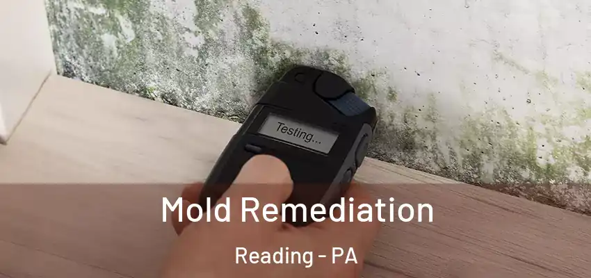 Mold Remediation Reading - PA