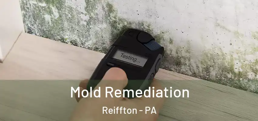  Mold Remediation Reiffton - PA