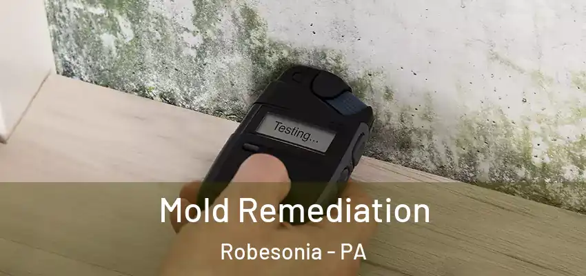 Mold Remediation Robesonia - PA