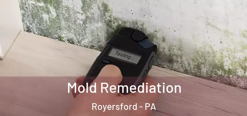  Mold Remediation Royersford - PA