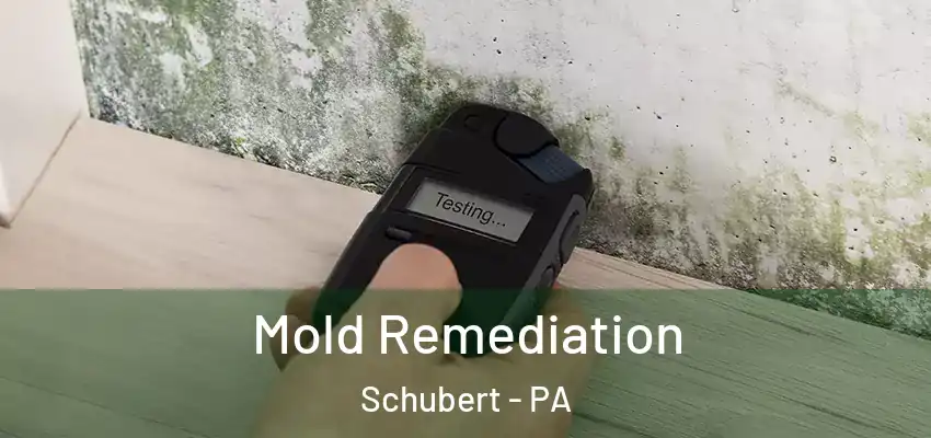 Mold Remediation Schubert - PA