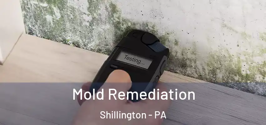 Mold Remediation Shillington - PA