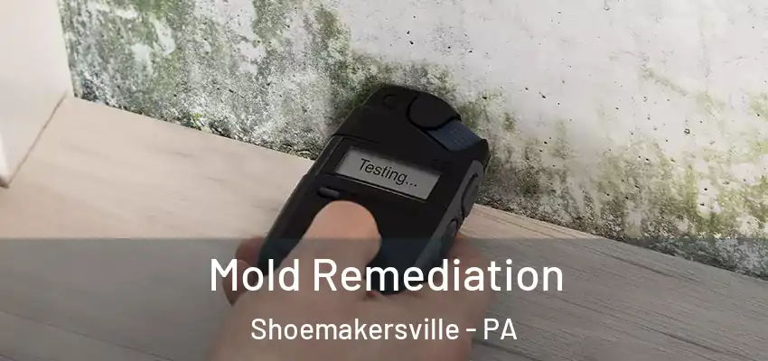 Mold Remediation Shoemakersville - PA