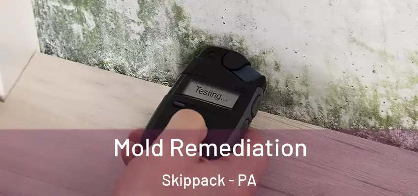  Mold Remediation Skippack - PA